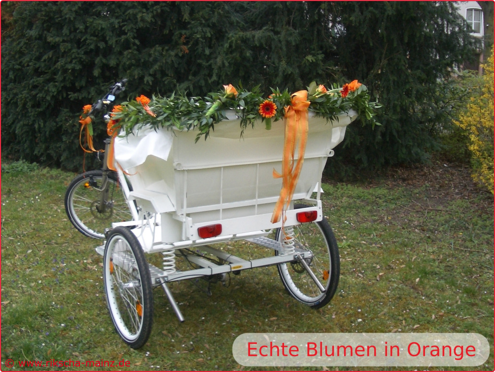 Echte Blumen in Orange