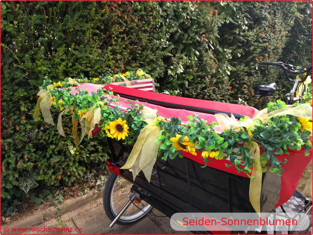 Seiden-Sonnenblumen