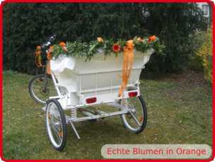 Echte Blumen in Orange